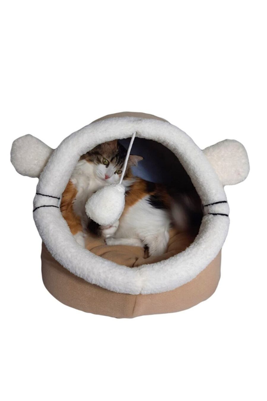 Kulaklı Alaska Kedi Mağarası